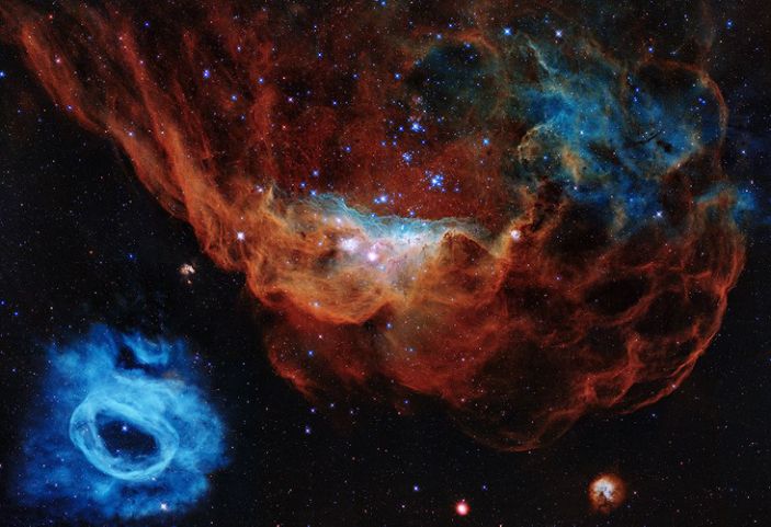The image shows the giant nebula NGC 2014 and its neighbor NGC 2020